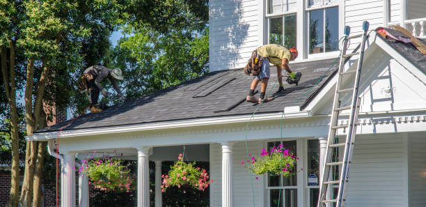 Best Roof Ventilation Installation  in Cole Camp, MO